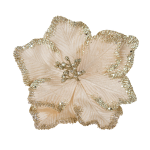 Eliazar Champagne Magnolia Clip Christmas Ornament