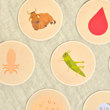 Passover Disposable Coasters | Ten Plagues, 2024