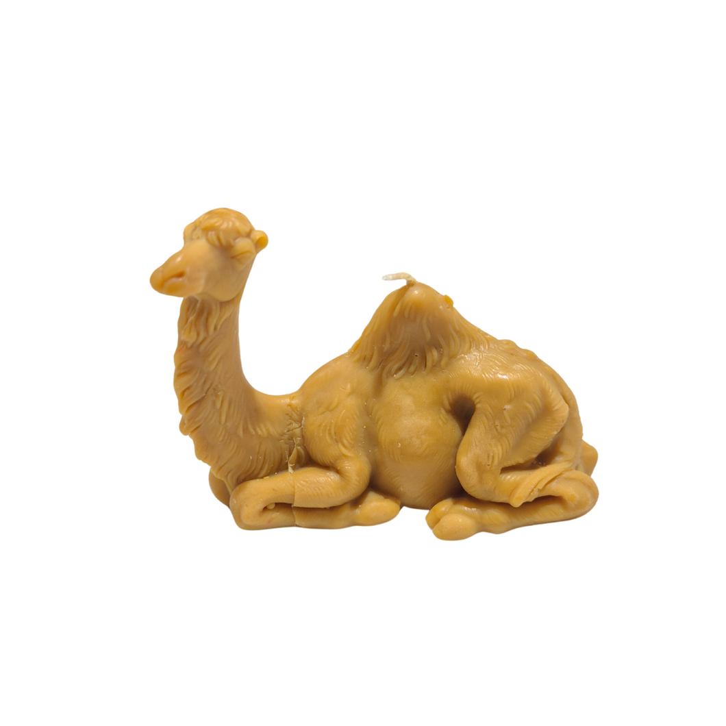 Passover Camel Candle